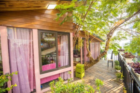 Roses Villa Tam Dao - Venuestay